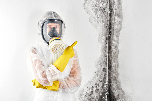 Best Mold Remediation for Rental Properties  in South Wenatchee, WA